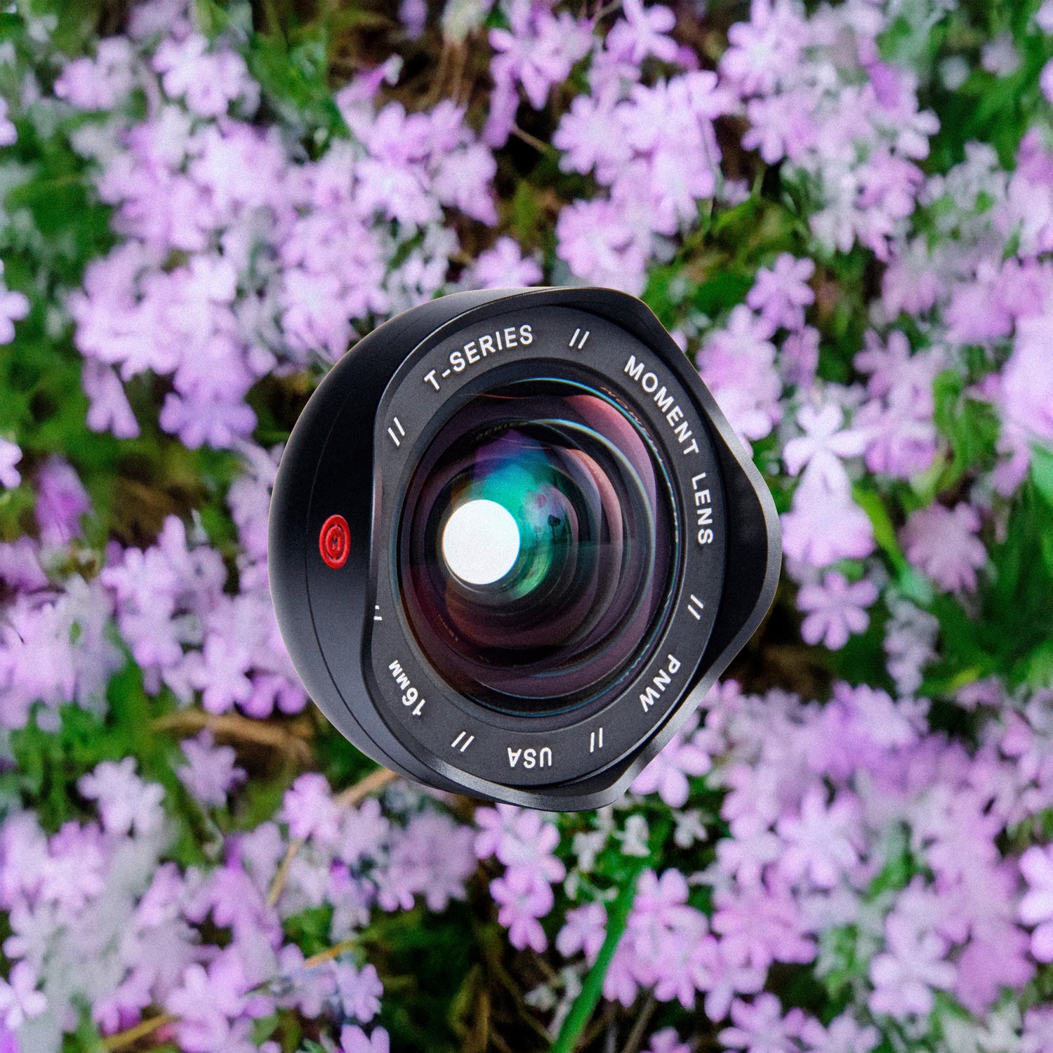 Moment T-Series Mobile Lens II Wide 16mm